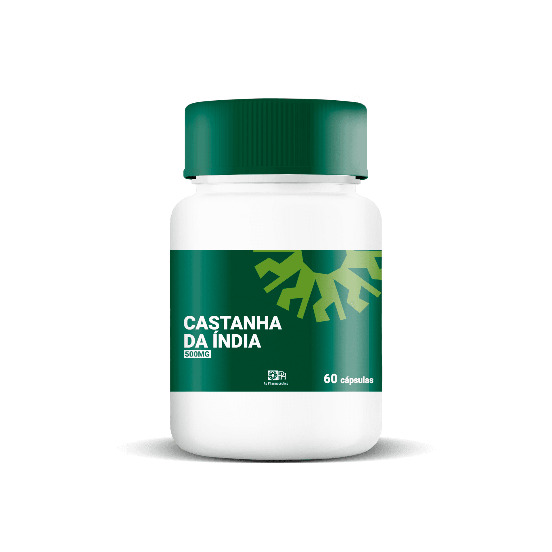 Imagem do CAST DA INDIA 500MG 60CP